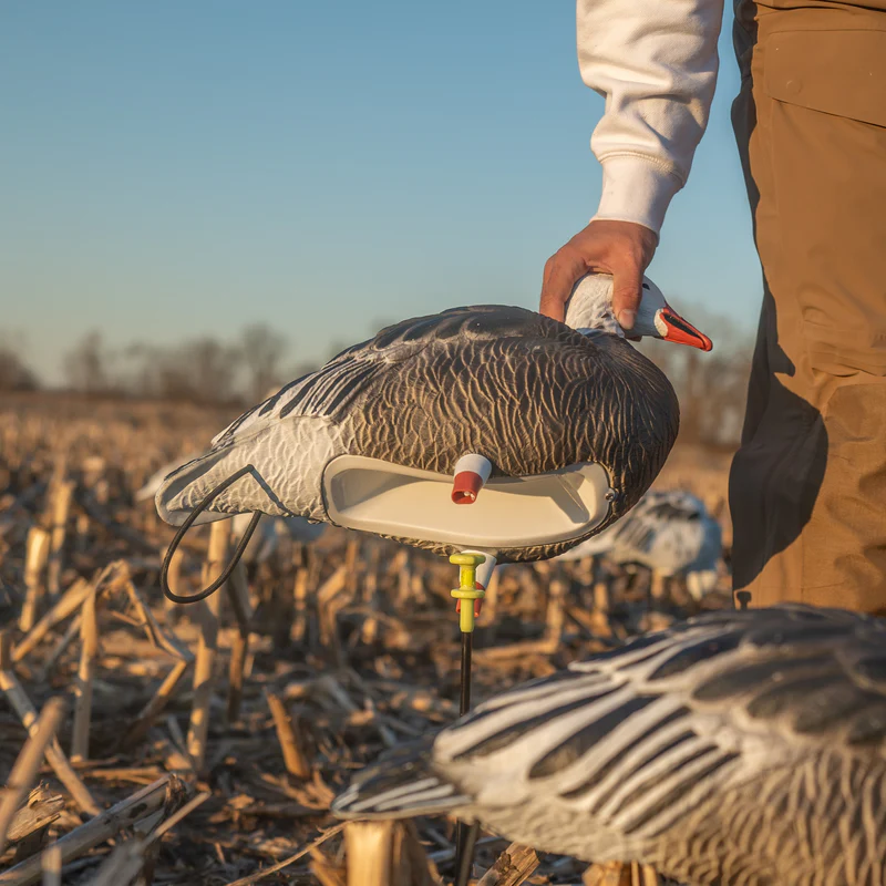 Goose Hunting Made Simple with Dive Bomb Products